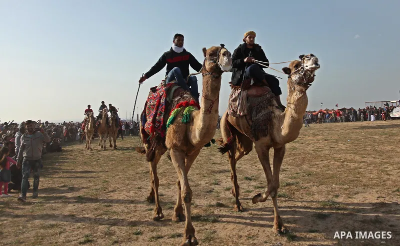 Palestinian Bedouins ride camels during a rally marking the 41st anniversary of Land Day, in Deir el-Balah, Central Gaza Strip, on March 31, 2017. Land Day marks the killing of six Arab Israelis during 1976 demonstration...