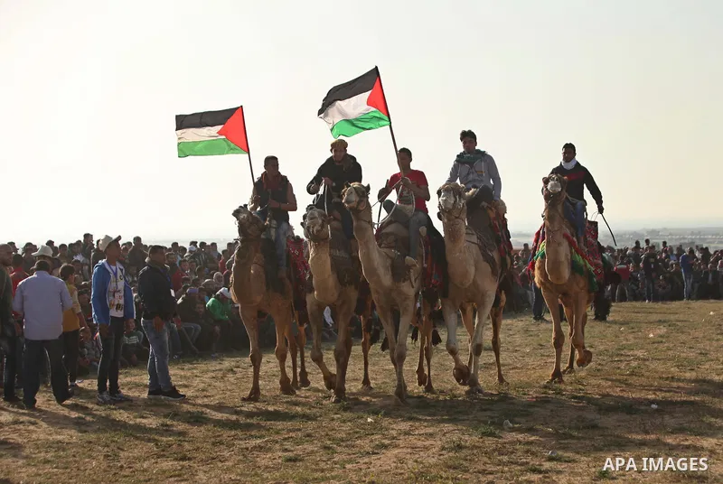 Palestinian Bedouins ride camels during a rally marking the 41st anniversary of Land Day, in Deir el-Balah, Central Gaza Strip, on March 31, 2017. Land Day marks the killing of six Arab Israelis during 1976 demonstration...
