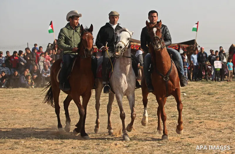 Palestinian Bedouins ride horses during a rally marking the 41st anniversary of Land Day, in Deir el-Balah, Central Gaza Strip, on March 31, 2017. Land Day marks the killing of six Arab Israelis during 1976 demonstration...