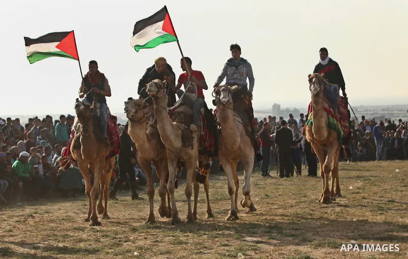 Palestinian Bedouins ride camels during a rally marking the 41st anniversary of Land Day, in Deir el-Balah, Central Gaza Strip, on March 31, 2017. Land Day marks the killing of six Arab Israelis during 1976 demonstration...