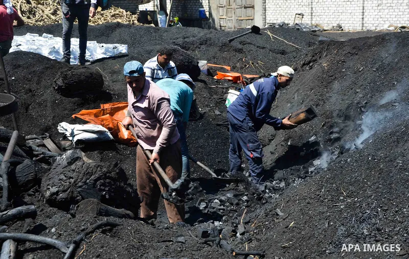 Egyptian workers collect a coal at a work field in Zagazig, Sharqiya Governorate, about 62.5 km (38.8 miles) northeast of Cairo, on April 5, 2017. Photo by Amr Sayed