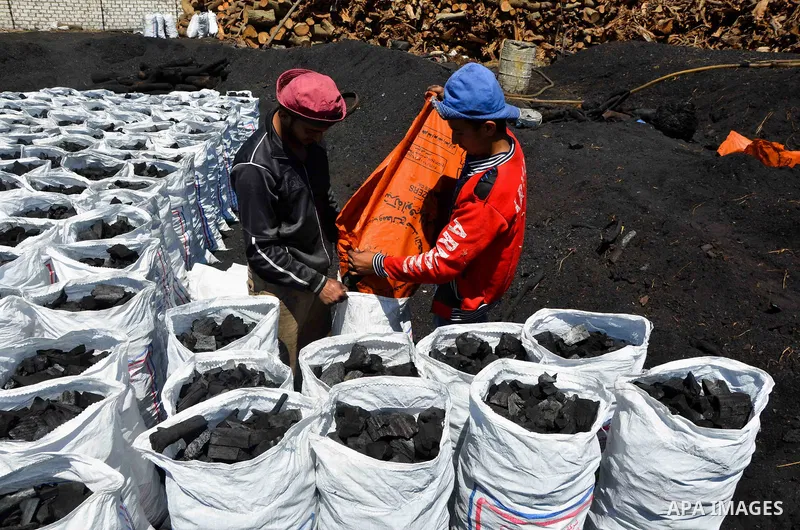 Egyptian workers collect a coal at a work field in Zagazig, Sharqiya Governorate, about 62.5 km (38.8 miles) northeast of Cairo, on April 5, 2017. Photo by Amr Sayed