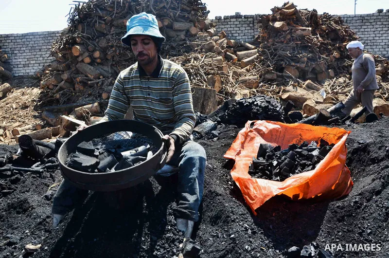 Egyptian workers collect a coal at a work field in Zagazig, Sharqiya Governorate, about 62.5 km (38.8 miles) northeast of Cairo, on April 5, 2017. Photo by Amr Sayed