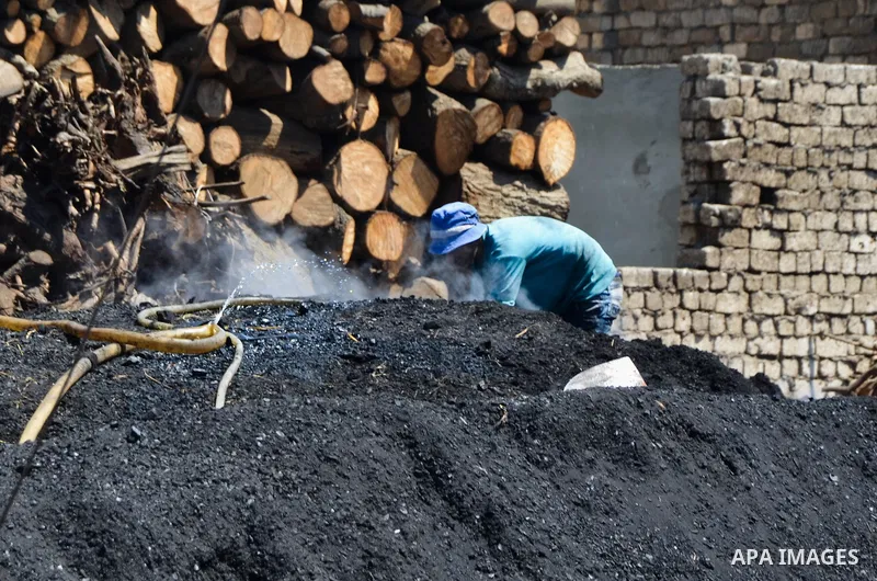 Egyptian workers collect a coal at a work field in Zagazig, Sharqiya Governorate, about 62.5 km (38.8 miles) northeast of Cairo, on April 5, 2017. Photo by Amr Sayed