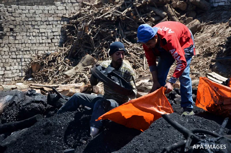 Egyptian workers collect a coal at a work field in Zagazig, Sharqiya Governorate, about 62.5 km (38.8 miles) northeast of Cairo, on April 5, 2017. Photo by Amr Sayed