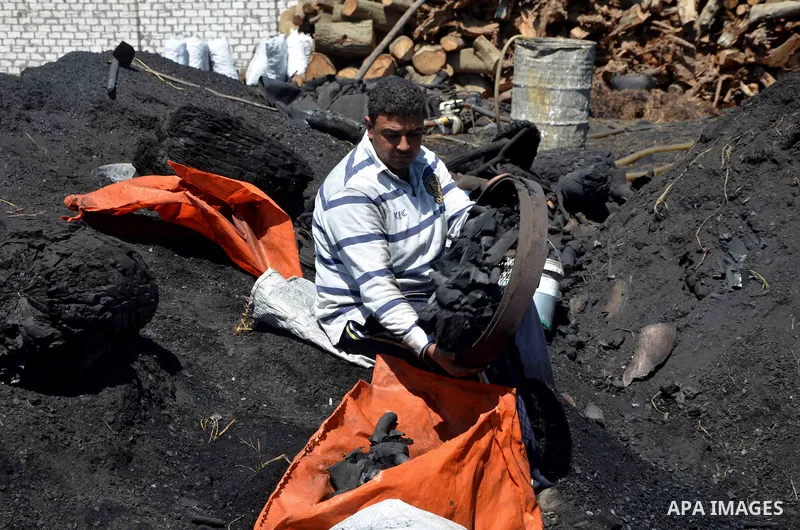 Egyptian workers collect a coal at a work field in Zagazig, Sharqiya Governorate, about 62.5 km (38.8 miles) northeast of Cairo, on April 5, 2017. Photo by Amr Sayed
