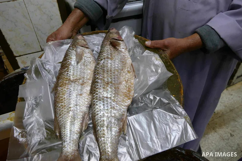 Egyptians buy the Herring or, salted fish during preparation for the upcoming the Sham El Nessim, or the Festival of Spring Breeze, which marks the beginning of spring, in Cairo, on April 14, 2017. Photo by Amr Sayed