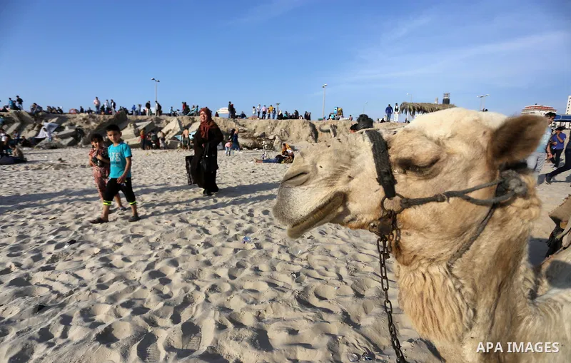 Palestinians enjoy their time off the beach of Gaza City on May 5, 2017. Photo by Mohammed Asad