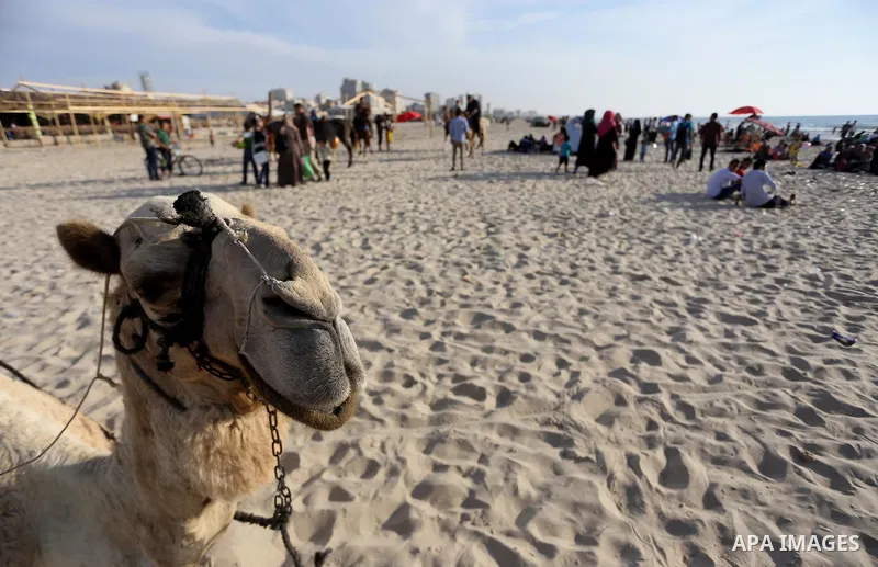 Palestinians enjoy their time off the beach of Gaza City on May 5, 2017. Photo by Mohammed Asad