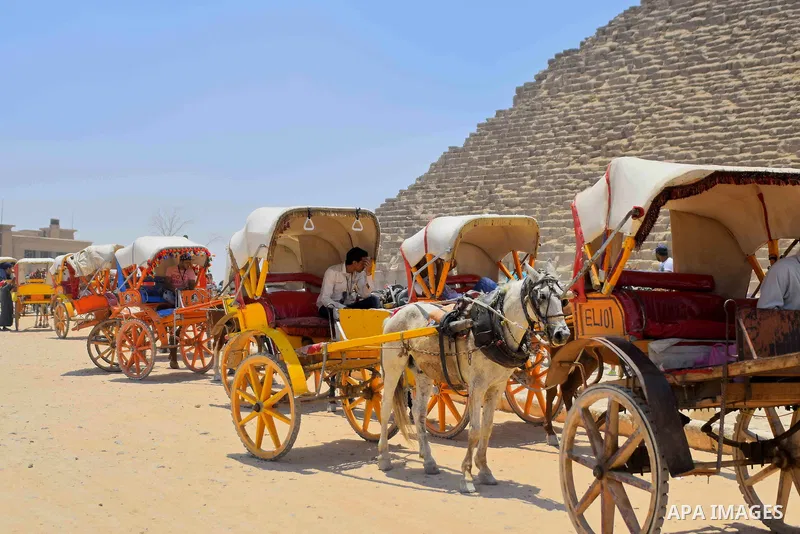 Egyptians ride horse carts in front of the Giza pyramids, on the third day of Eid al-Fitr holiday which marks the end of the Muslim holy month of Ramadan, in Cairo June 27, 2017. Photo by Amr Sayed
