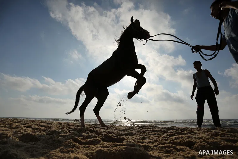 Palestinians enjoy their time at the beach of the Mediterranean sea on the coast of Gaza city, on June 30, 2017. Photo by Ashraf Amra