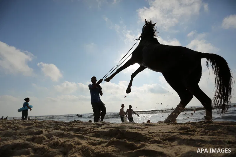 Palestinians enjoy their time at the beach of the Mediterranean sea on the coast of Gaza city, on June 30, 2017. Photo by Ashraf Amra