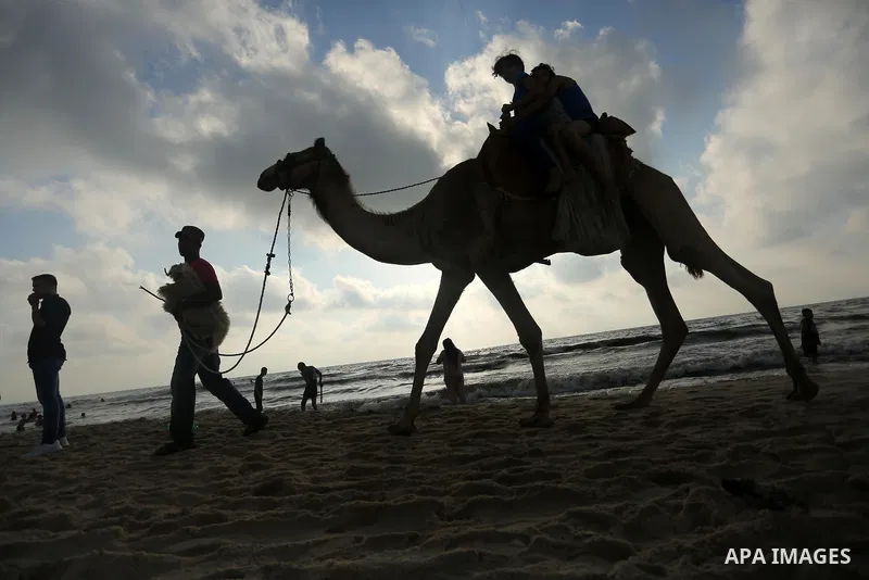 Palestinians enjoy their time at the beach of the Mediterranean sea on the coast of Gaza city, on June 30, 2017. Photo by Ashraf Amra