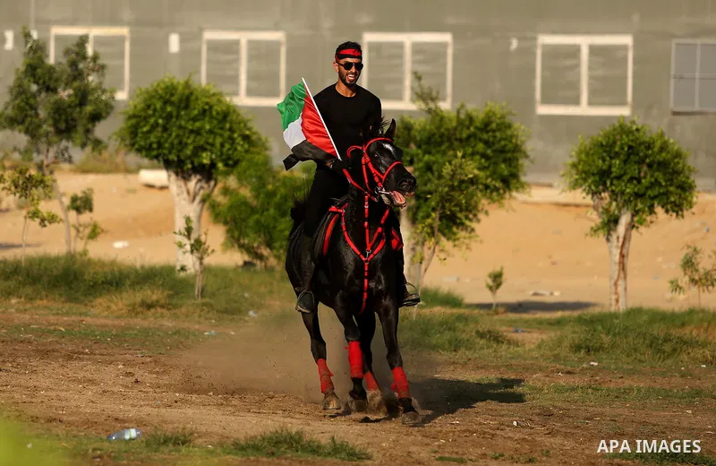 A Palestinian man holds the national flag as he rides a horse during parade of horses in Gaza city on August 2, 2017. Photo by Ashraf Amra