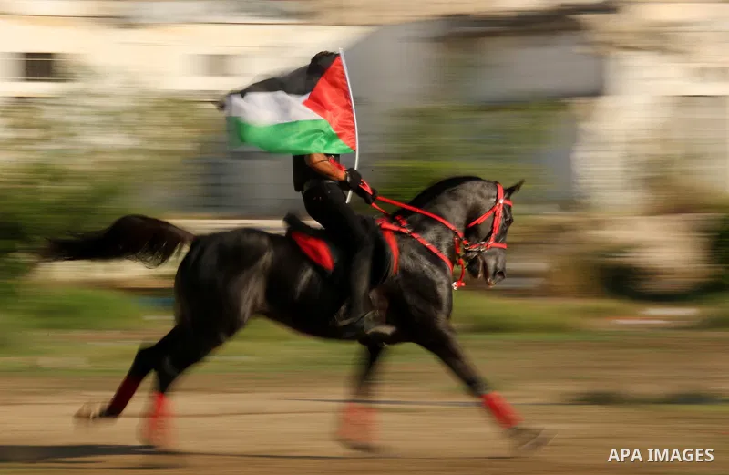 A Palestinian man holds the national flag as he rides a horse during parade of horses in Gaza city on August 2, 2017. Photo by Ashraf Amra