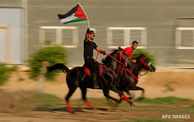Palestinians ride horses during parade of horses in Gaza city on August 2, 2017. Photo by Ashraf Amra