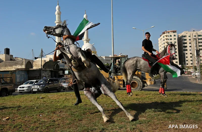 A Palestinian man holds the national flag as he rides a horse during parade of horses in Gaza city on August 2, 2017. Photo by Ashraf Amra