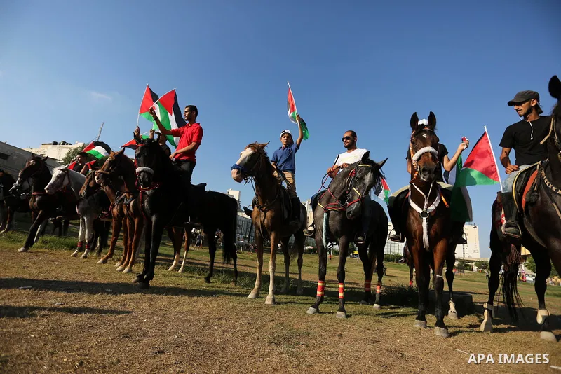 Palestinians hold the national flags as they ride horses during parade of horses in Gaza city on August 2, 2017. Photo by Ashraf Amra