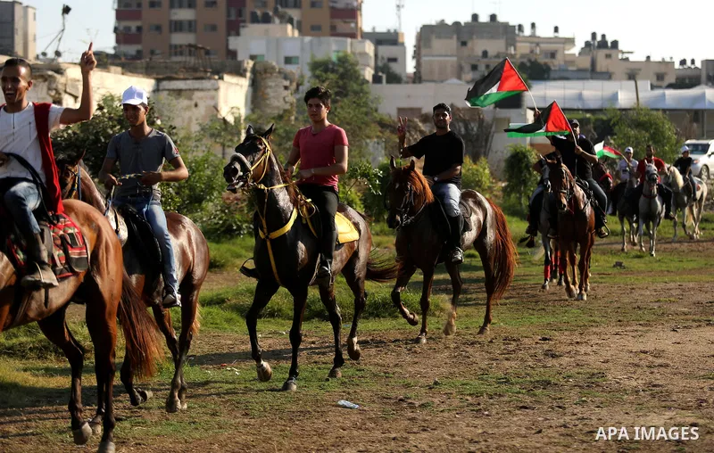 Palestinians hold the national flags as they ride horses during parade of horses in Gaza city on August 2, 2017. Photo by Ashraf Amra