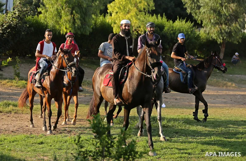 Palestinians ride horses during parade of horses in Gaza city on August 2, 2017. Photo by Ashraf Amra