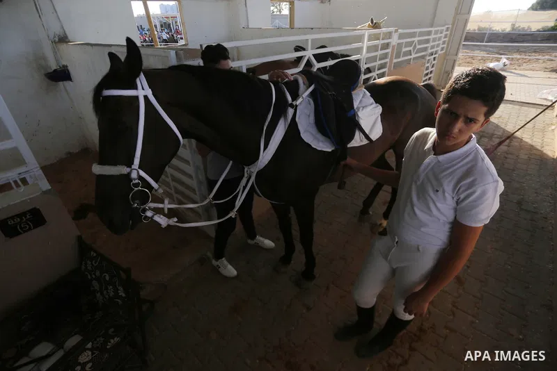 Palestinian boys prepares their horses before a jump obstacles championship, in Gaza city on August 4, 2017. Photo by Mohammed Asad