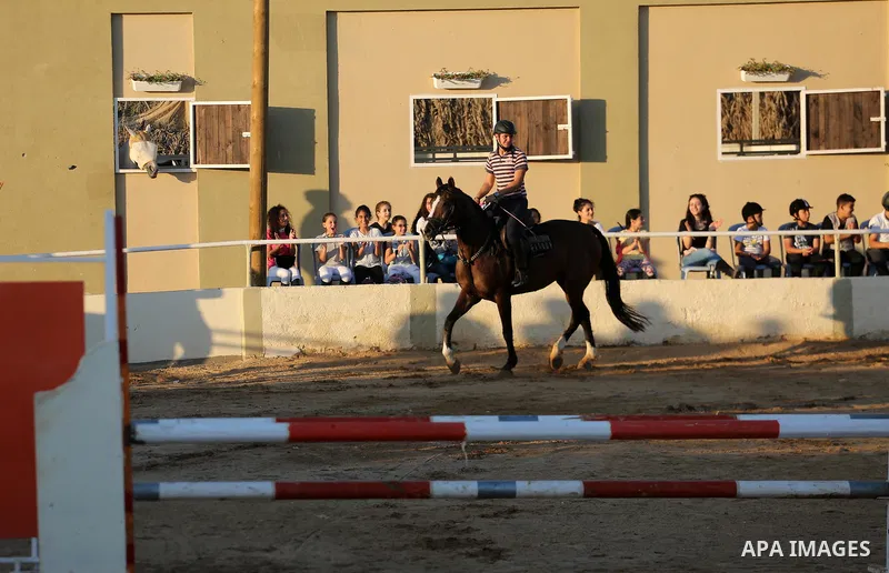 Palestinian boys prepares their horses before a jump obstacles championship, in Gaza city on August 4, 2017. Photo by Mohammed Asad