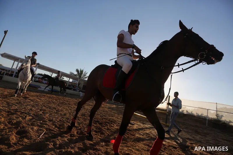 Palestinian boys prepares their horses before a jump obstacles championship, in Gaza city on August 4, 2017. Photo by Mohammed Asad