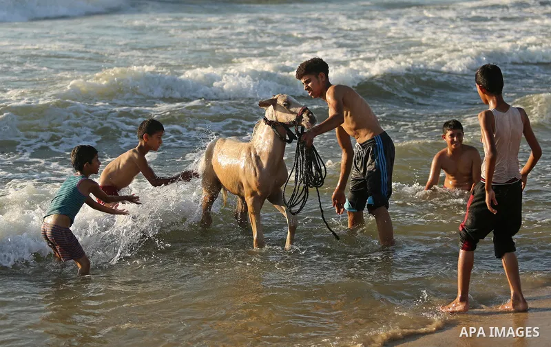 Palestinians enjoy their time at the beach of the Mediterranean sea on the coast of Gaza city on August 4, 2017. Photo by Ashraf Amra