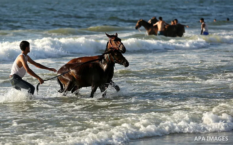 Palestinians enjoy their time at the beach of the Mediterranean sea on the coast of Gaza city on August 4, 2017. Photo by Ashraf Amra