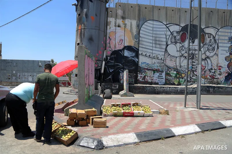 A Palestinian vendor sells vegetables in front of a graffiti depicting US President Donald Trump on the controversial Israeli separation barrier in the West Bank town of Bethlehem on August 8, 2017. Photo by Shadi Hatem