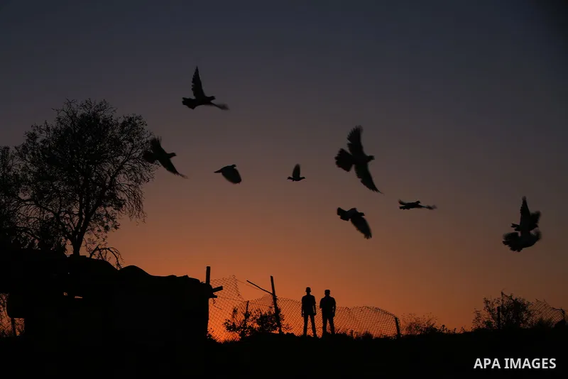 A general veiw to the sunset, in the West Bank city of Ramallah on August 9, 2017. Photo by Shadi Hatem