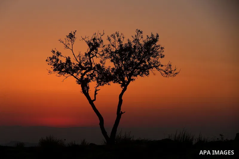 A general veiw to the sunset, in the West Bank city of Ramallah on August 9, 2017. Photo by Shadi Hatem