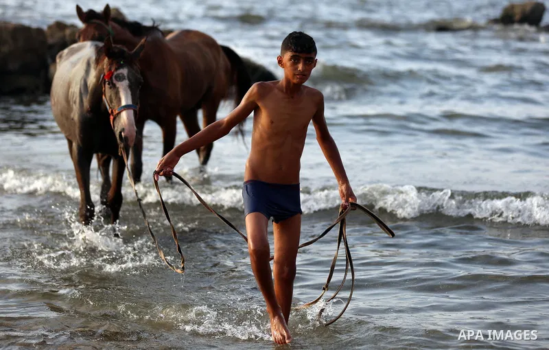A Palestinian youth plays with his horse at the beach of the Mediterranean sea on the coast of Gaza city on August 9, 2017. Photo by Yasser Qudih