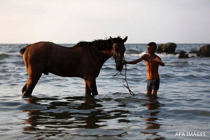 A Palestinian youth plays with his horse at the beach of the Mediterranean sea on the coast of Gaza city on August 9, 2017. Photo by Yasser Qudih
