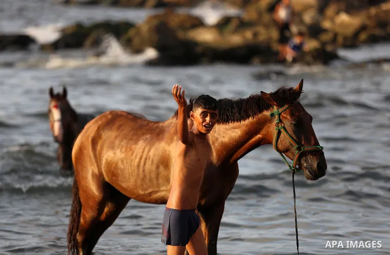 A Palestinian youth plays with his horse at the beach of the Mediterranean sea on the coast of Gaza city on August 9, 2017. Photo by Yasser Qudih