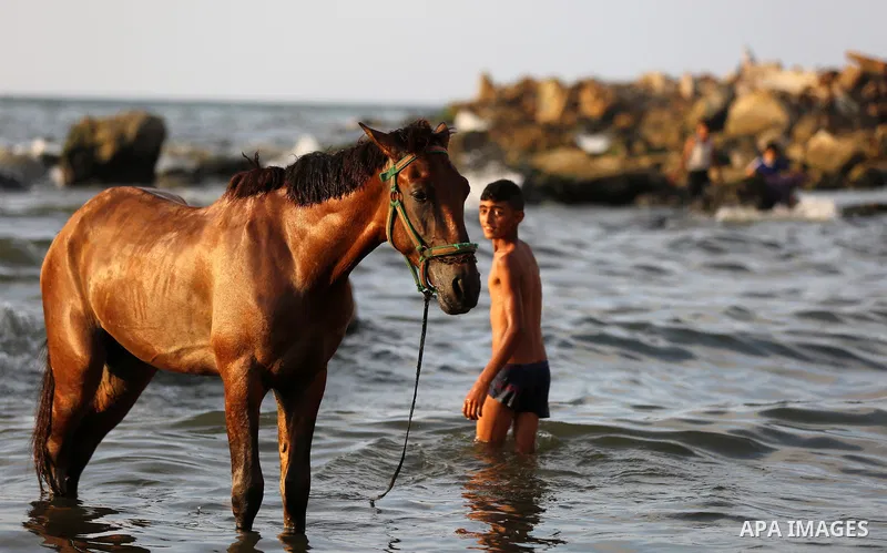A Palestinian youth plays with his horse at the beach of the Mediterranean sea on the coast of Gaza city on August 9, 2017. Photo by Yasser Qudih