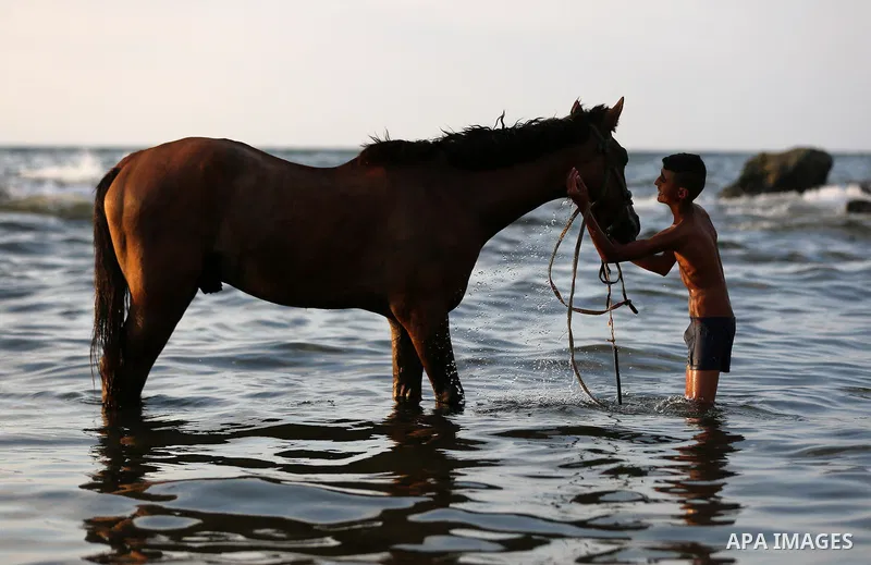 A Palestinian youth plays with his horse at the beach of the Mediterranean sea on the coast of Gaza city on August 9, 2017. Photo by Yasser Qudih