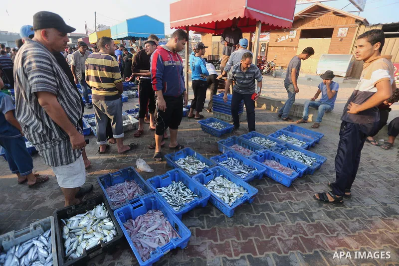 Palestinian fishermen display fish for sale, in Gaza seaport, on August 10, 2017. Photo by Mohammed Asad