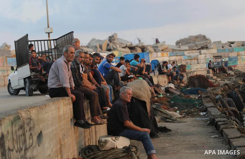Palestinian fishermen display fish for sale, in Gaza seaport, on August 10, 2017. Photo by Mohammed Asad