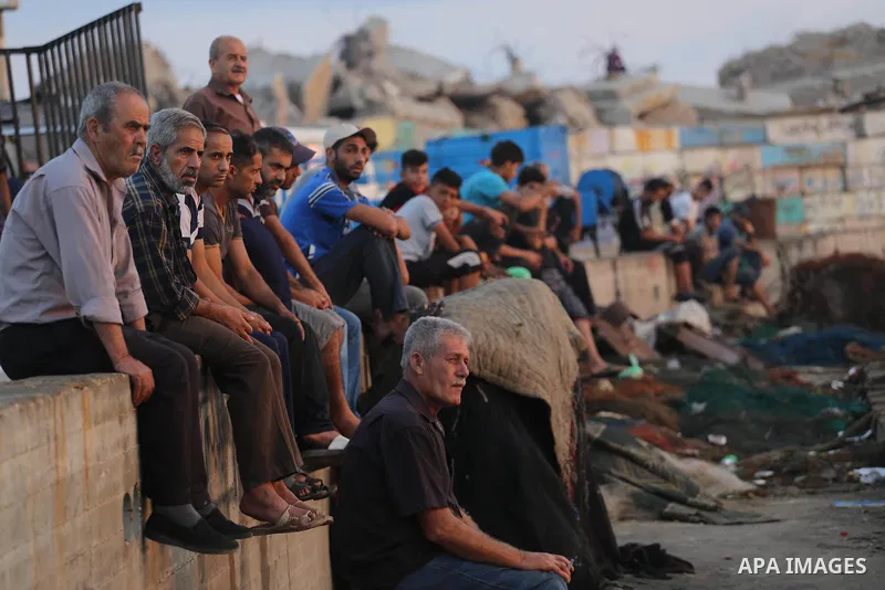 Palestinian fishermen display fish for sale, in Gaza seaport, on August 10, 2017. Photo by Mohammed Asad