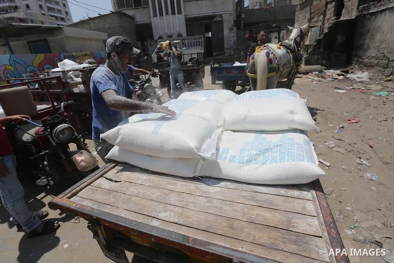 Palestinians receive their monthly food aid at a United Nations distribution center (UNRWA) in Gaza city on August 13, 2017. Photo by Mohammed Asad
