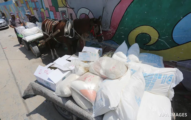 Palestinians receive their monthly food aid at a United Nations distribution center (UNRWA) in Gaza city on August 13, 2017. Photo by Mohammed Asad