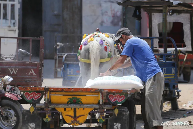 Palestinians receive their monthly food aid at a United Nations distribution center (UNRWA) in Gaza city on August 13, 2017. Photo by Mohammed Asad