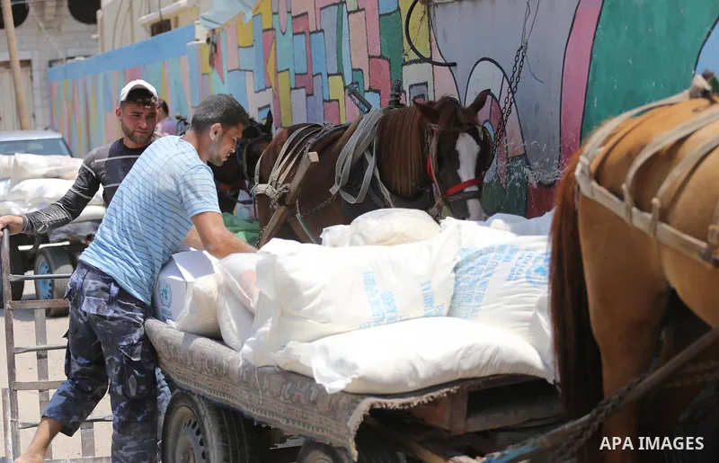 Palestinians receive their monthly food aid at a United Nations distribution center (UNRWA) in Gaza city on August 13, 2017. Photo by Mohammed Asad