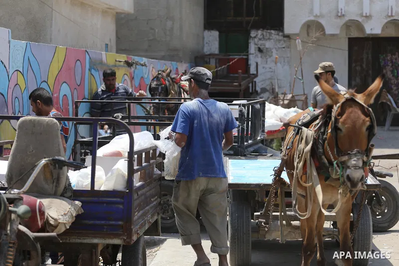 Palestinians receive their monthly food aid at a United Nations distribution center (UNRWA) in Gaza city on August 13, 2017. Photo by Mohammed Asad
