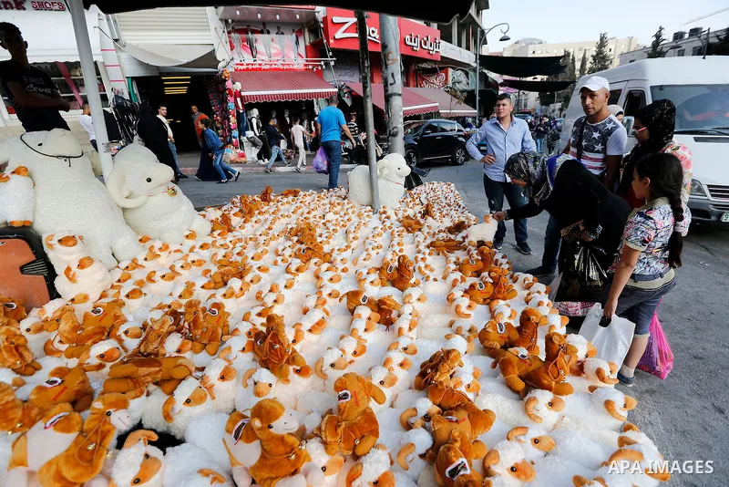 A Palestinian vendor displays toys of sheep at a market ahead of the Eid al-Adha festival in the West Bank city of Hebron, on August 21, 2017. Photo by Wisam Hashlamoun