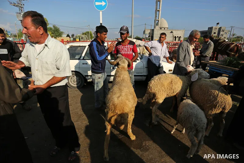 Palestinians gather at a live stock market, ahead of Eid al-Adha in Deir al-Balah, in the center of the Gaza Strip on August 22, 2017. Eid al-Adha (the Festival of Sacrifice) is celebrated throughout the Muslim world as...