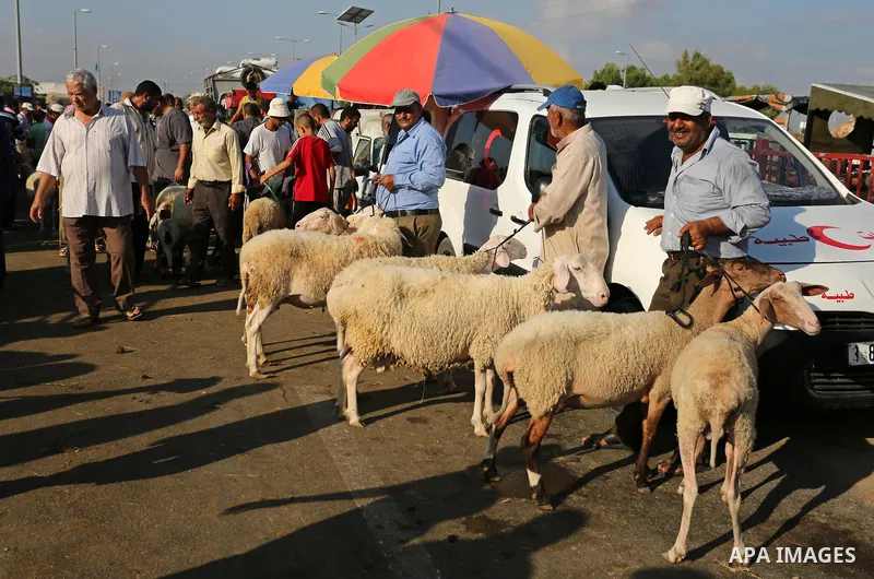 Palestinians gather at a live stock market, ahead of Eid al-Adha in Deir al-Balah, in the center of the Gaza Strip on August 22, 2017. Eid al-Adha (the Festival of Sacrifice) is celebrated throughout the Muslim world as...