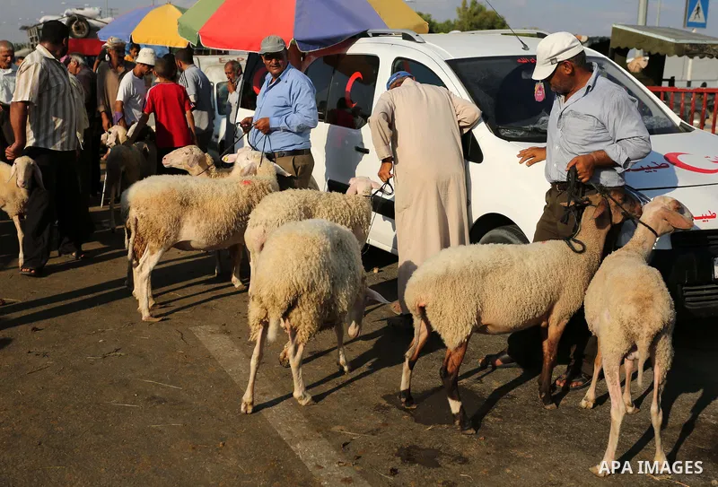 Palestinians gather at a live stock market, ahead of Eid al-Adha in Deir al-Balah, in the center of the Gaza Strip on August 22, 2017. Eid al-Adha (the Festival of Sacrifice) is celebrated throughout the Muslim world as...