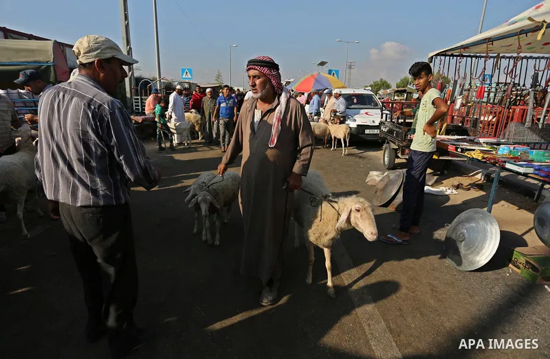 Palestinians gather at a live stock market, ahead of Eid al-Adha in Deir al-Balah, in the center of the Gaza Strip on August 22, 2017. Eid al-Adha (the Festival of Sacrifice) is celebrated throughout the Muslim world as...